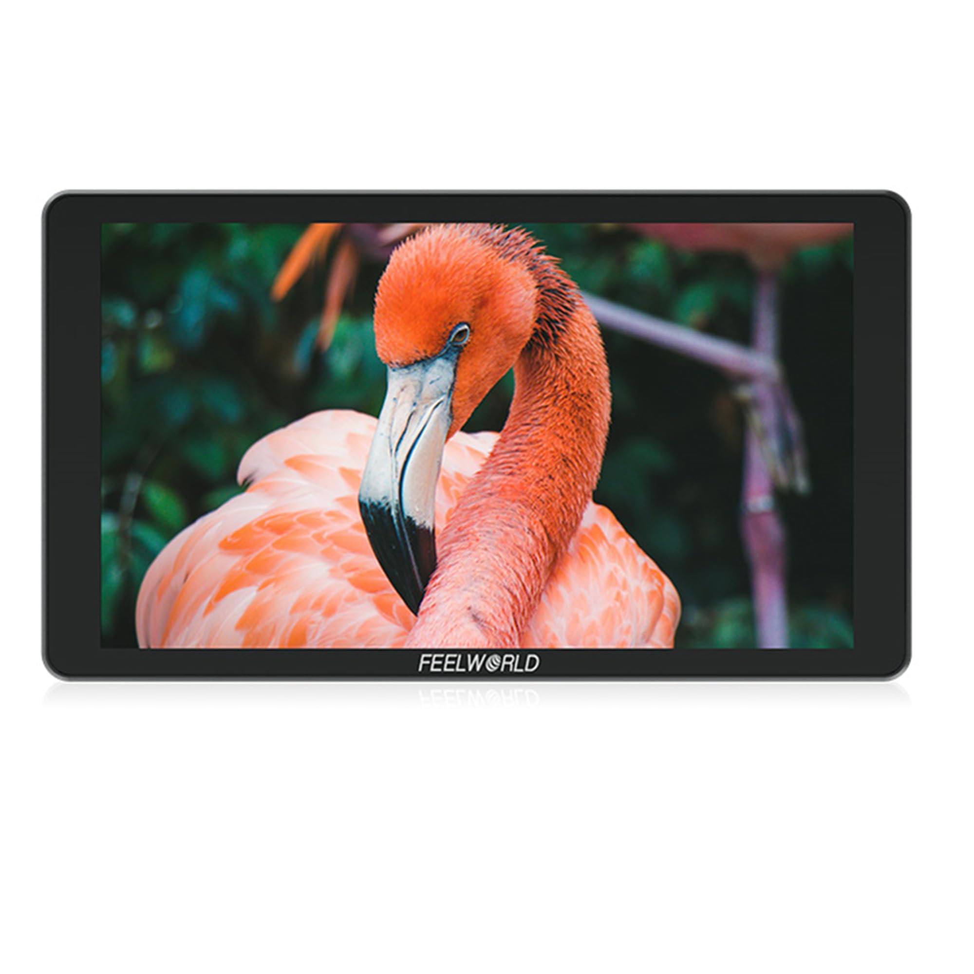 Amazon | FEELWORLD P6XL カメラビデオ モニター 6インチ タッチ